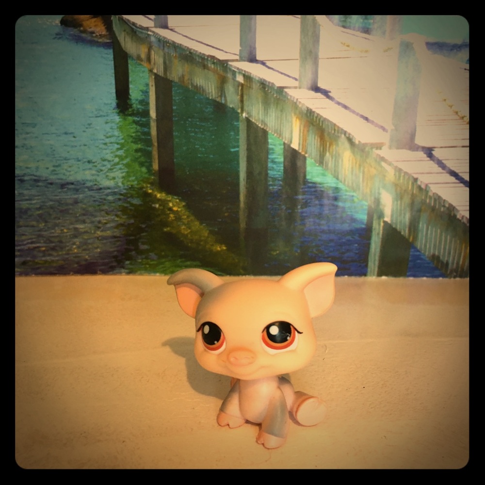 LPS rare grey & pink pig